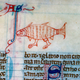 Illustration for article titled Bizarre and vulgar illustrations from illuminated medieval manuscripts